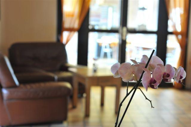 Sure Hotel By Best Western Mougins Belvedere Екстериор снимка